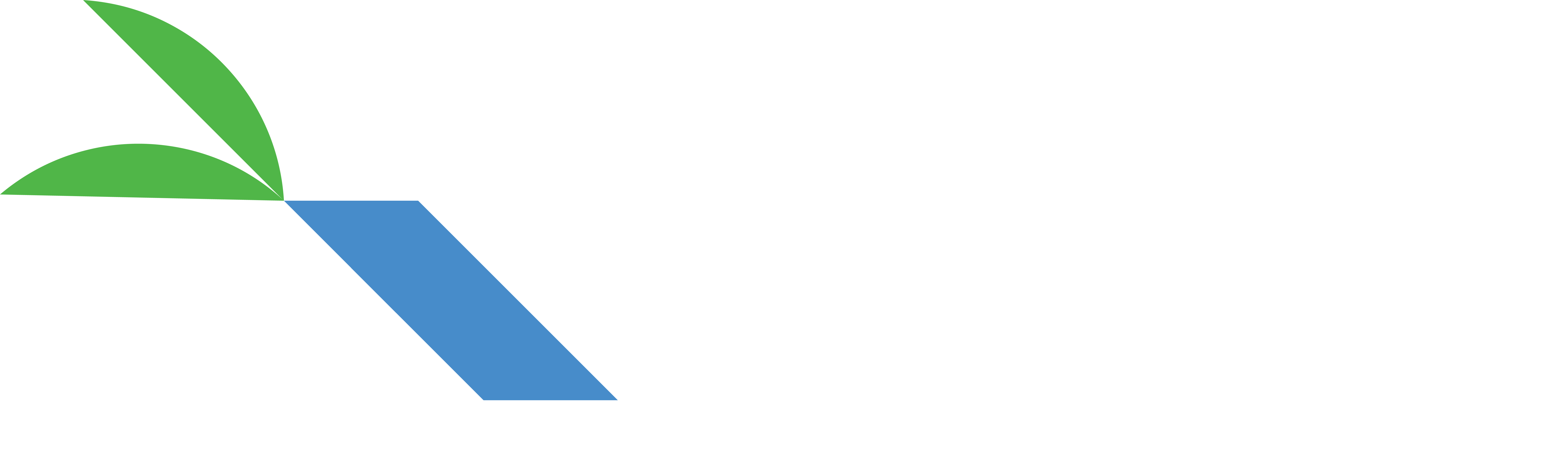 Terrenito RD